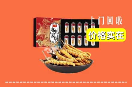 曲靖师宗县回收冬虫夏草